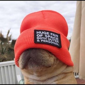 Meet your Posher, Adam